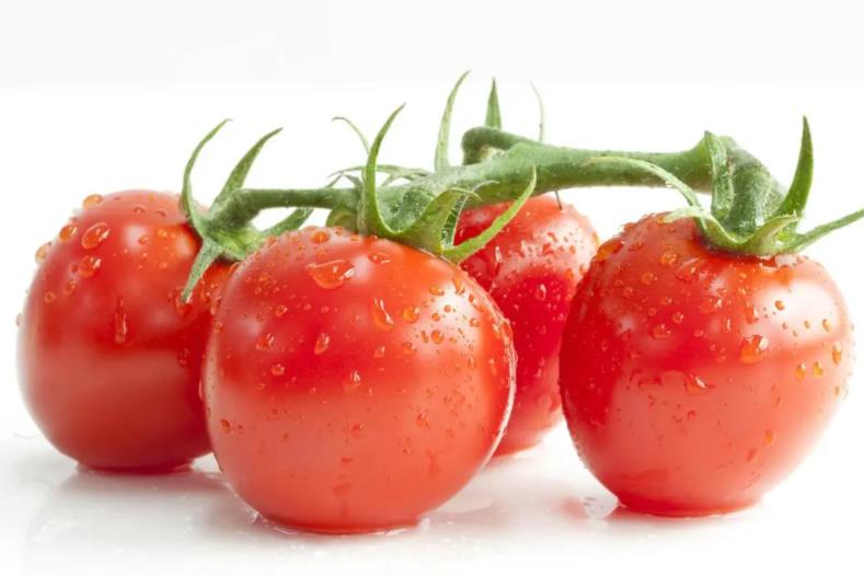 西红柿.jpg